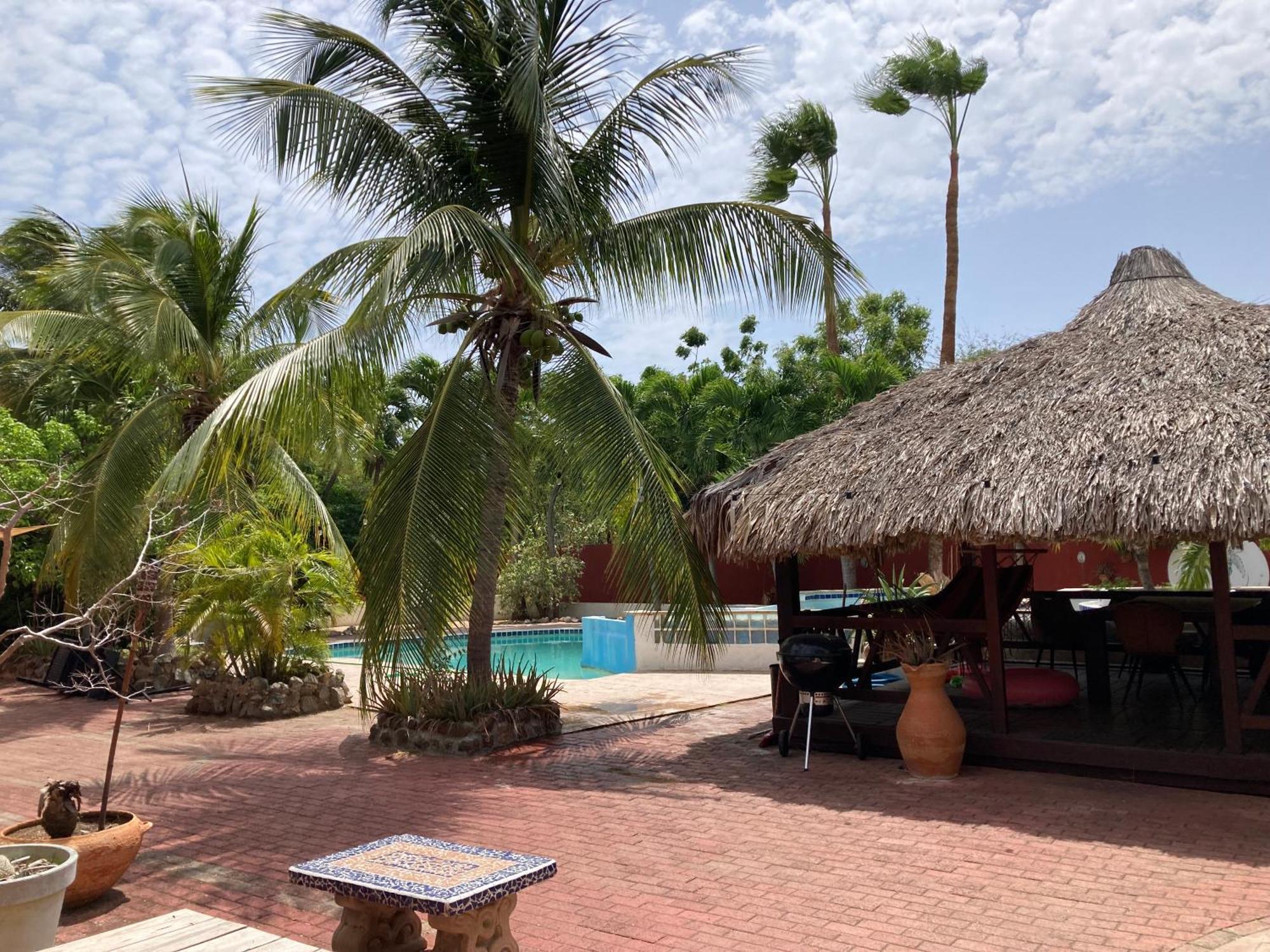 וילמסטאד Woodstock Palmresort Curacao מראה חיצוני תמונה